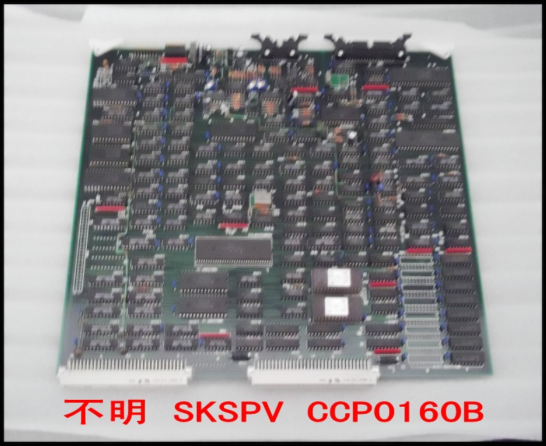 不明 SKSPV CCP0160B.jpg