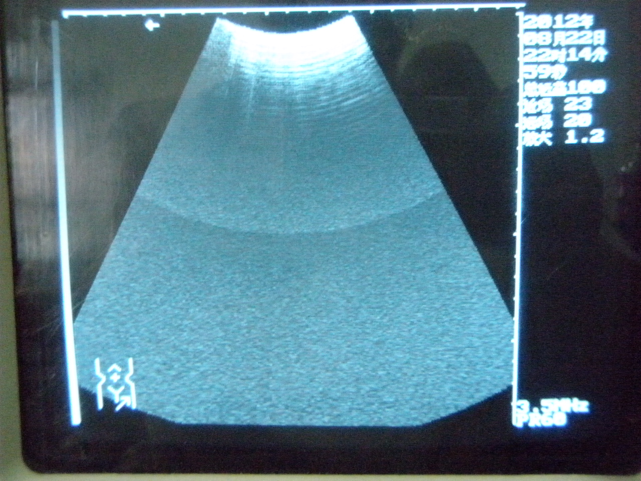 P1010014.JPG