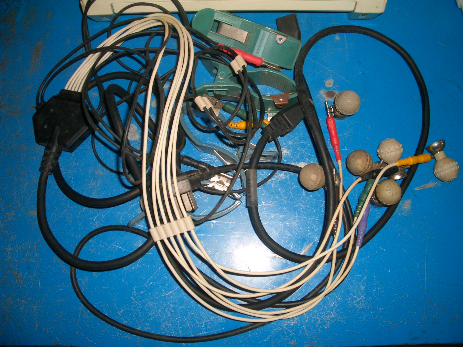 CIMG2203.JPG