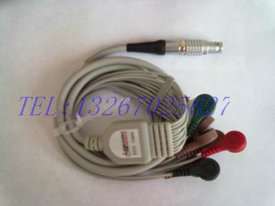 蓝港动态十导联线