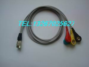 群天动态导联线