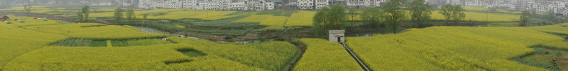 DSC00482_1.JPG