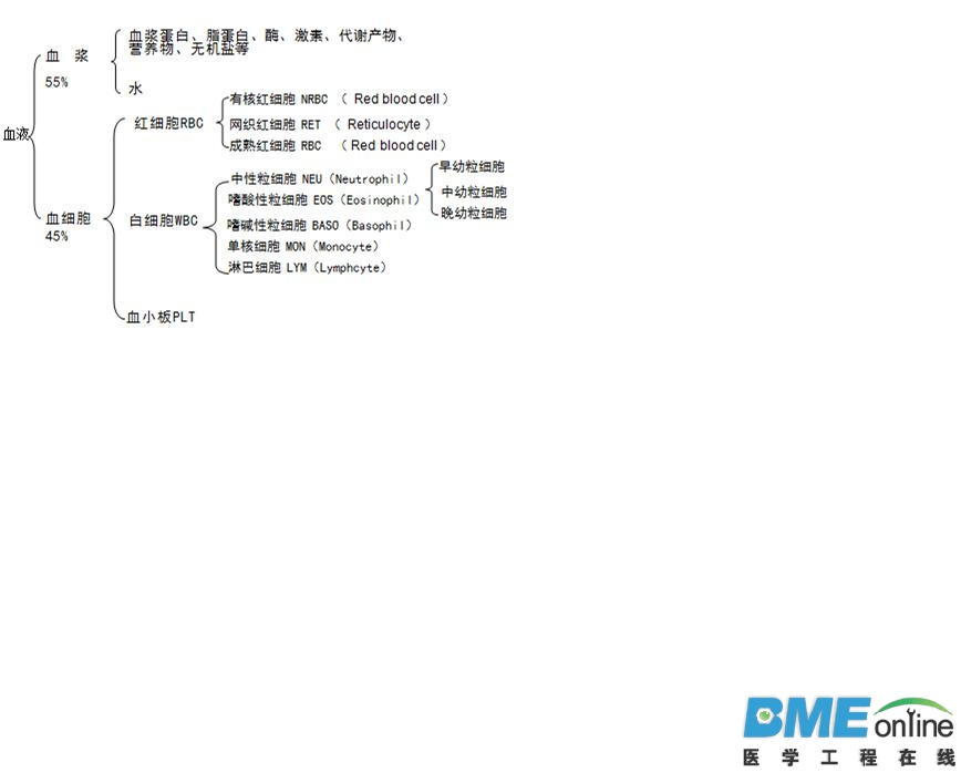 血球.JPG