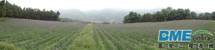 DSC07236.JPG