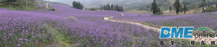 DSC07250.JPG