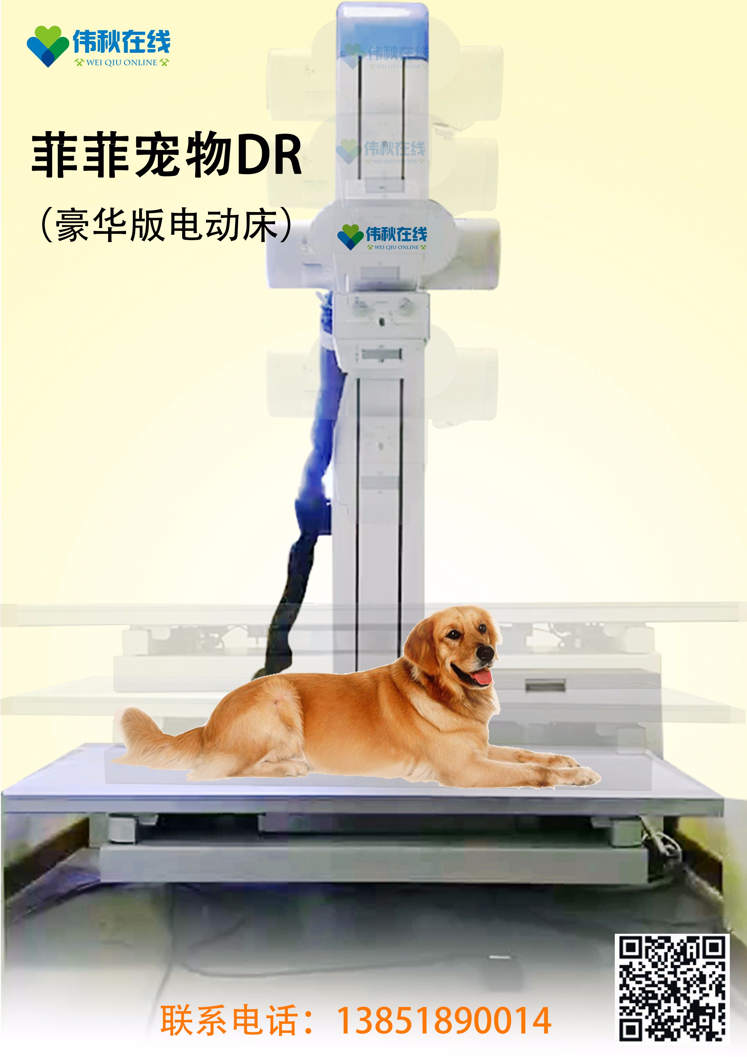 菲菲豪华版宠物DR