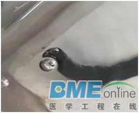 微信图片_20210909144200.jpg