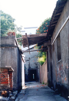 2007-5-9175721.jpg