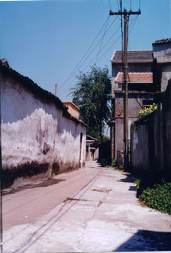2007-5-9175922.jpg