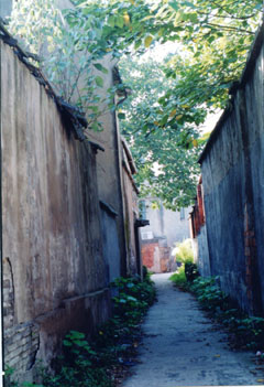 2007-5-9180011.jpg