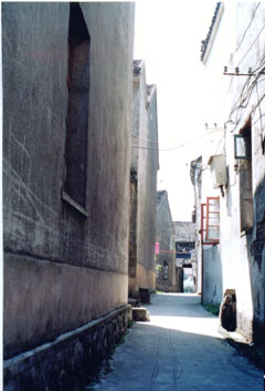 2007-5-9175932.jpg
