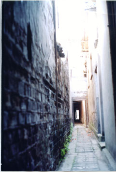 2007-5-9175510.jpg