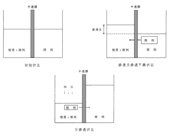 （1）反渗透膜原理