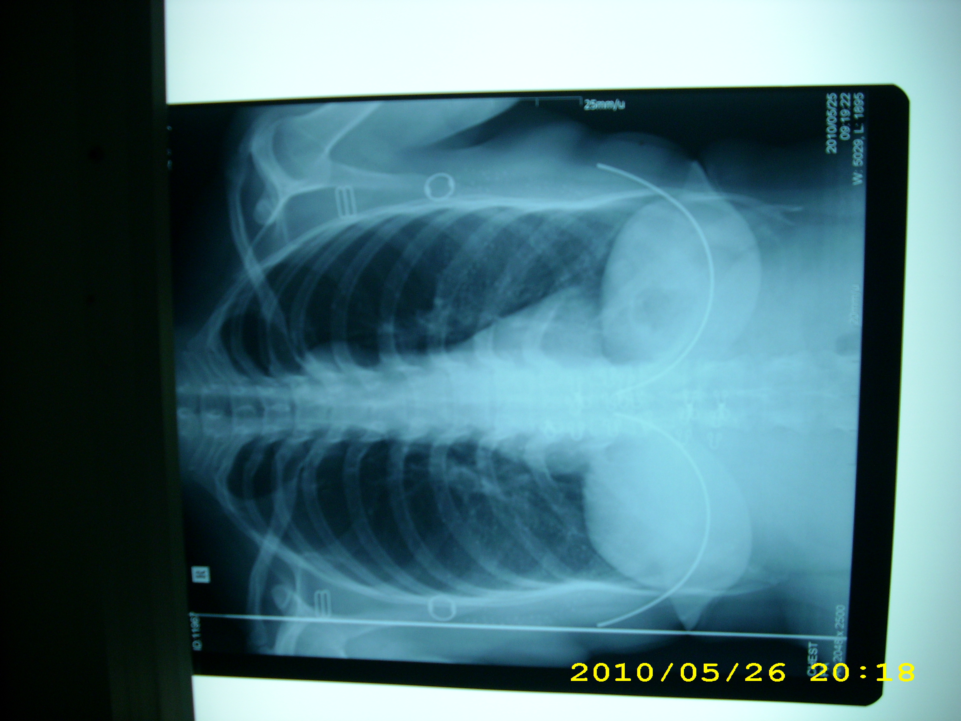 DSCI0081.JPG