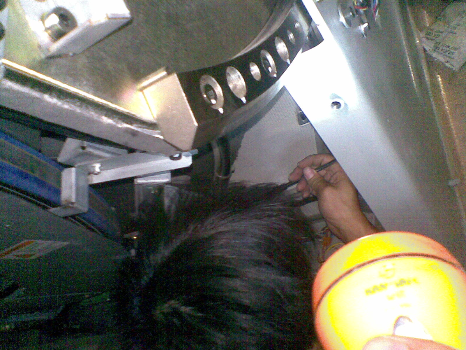 20101007_024.jpg
