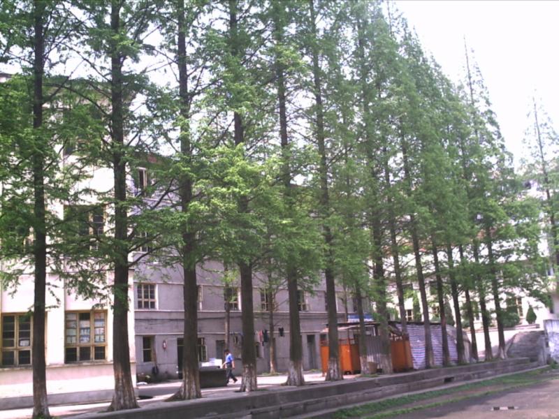 医学院西区