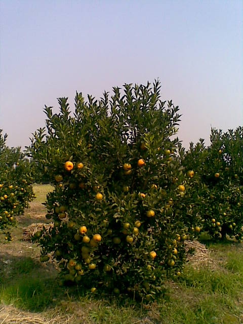 20081115(004).jpg