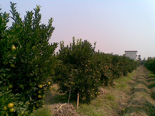 20081115(005).jpg