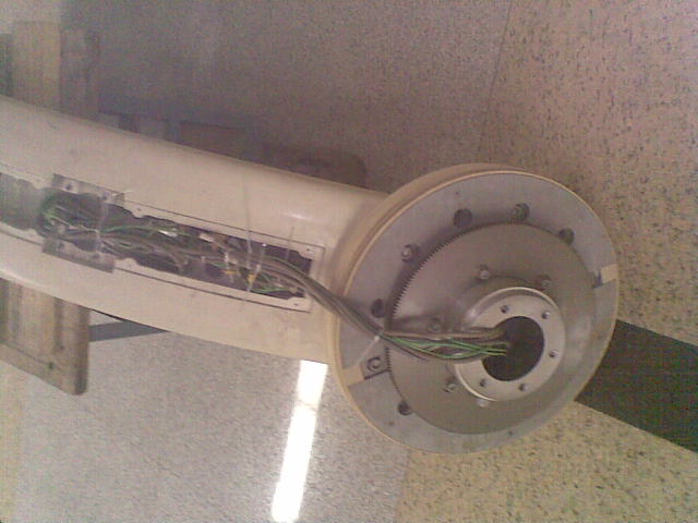20101229_003.jpg