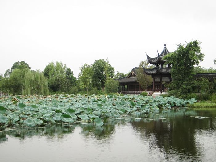 西溪国家湿地公园