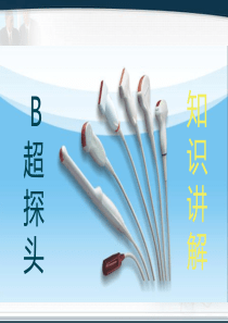 B超探头讲解与维修